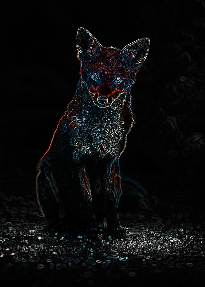A WONDERFUL WOLF
