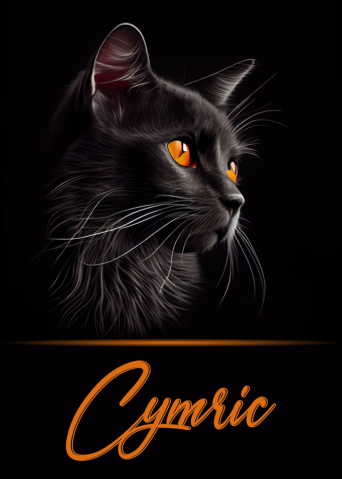 Adorable Cymric