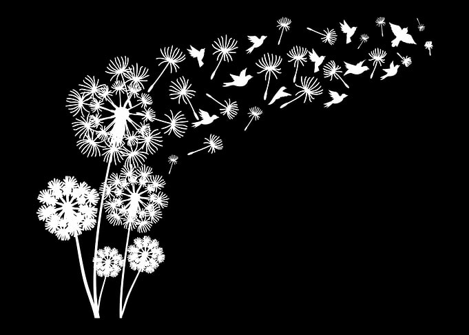 Dandelion Birds Women