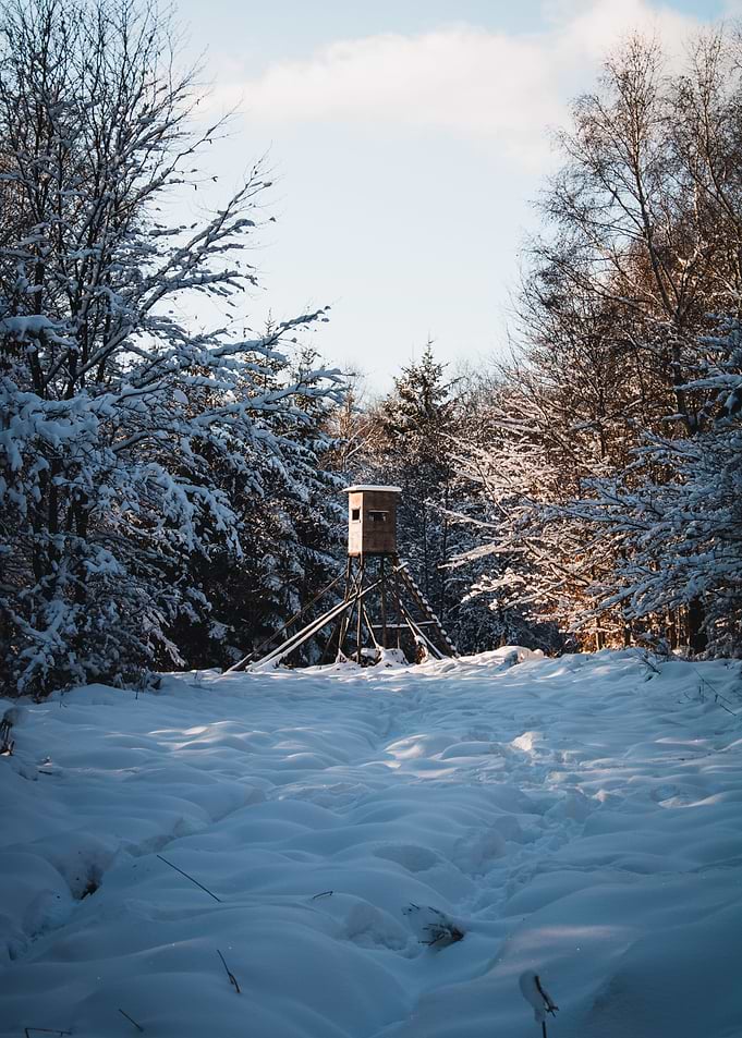 hunting perch in snow