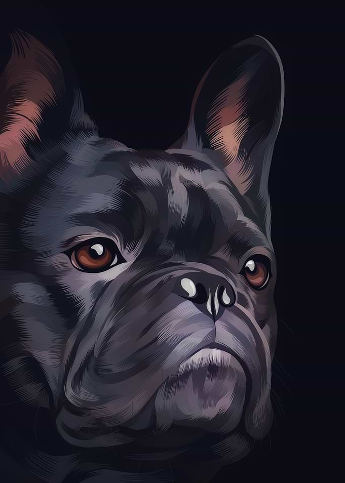 Dog 3