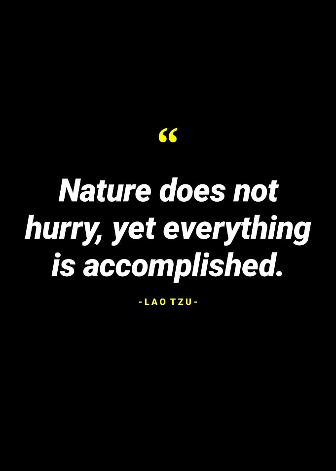 Lao Tzu Quotes