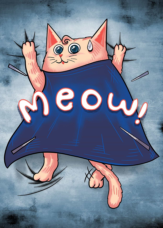 Meow the SuperCat
