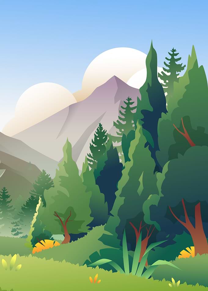 THE JUNGLE LANDSCAPE