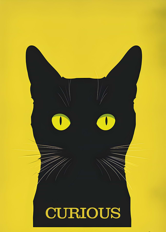 Curious Black Cat
