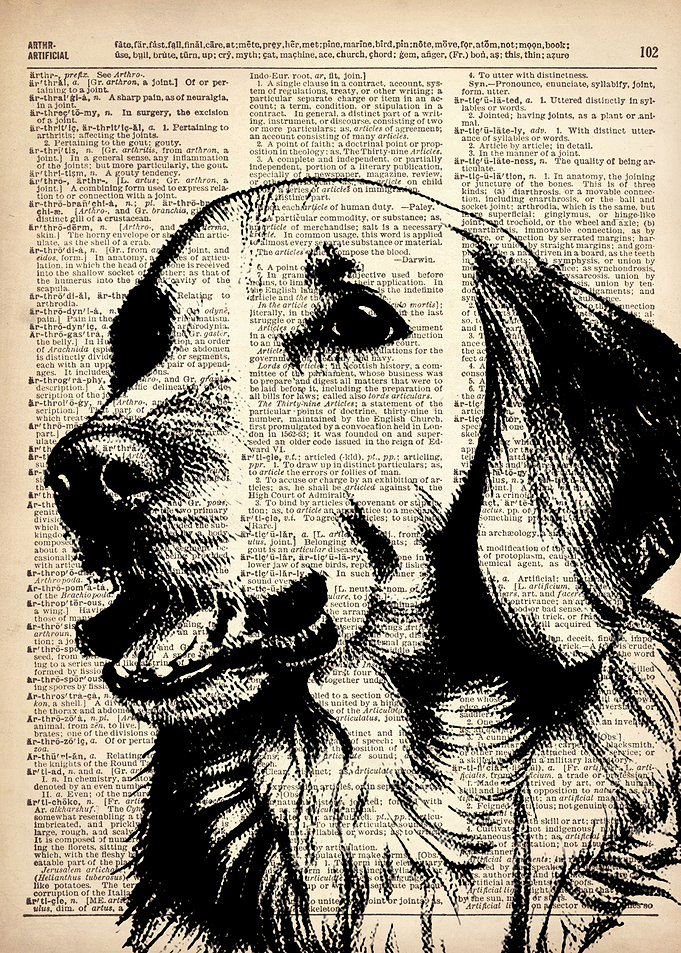 Golden Retriever Dog