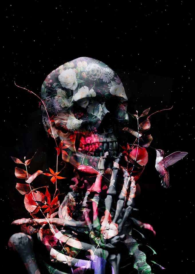 Rebirth