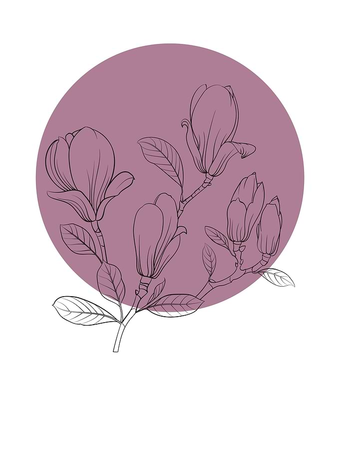 Magnolia Line Art Flower