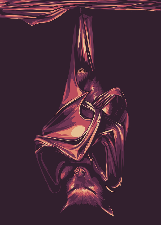 bat pop art
