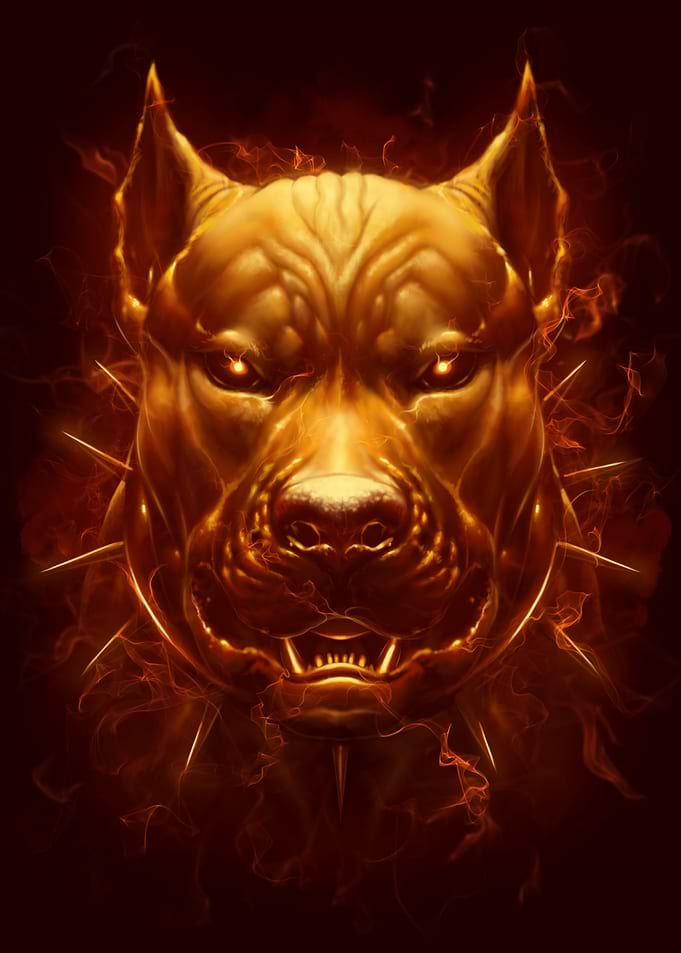 Dog Fire