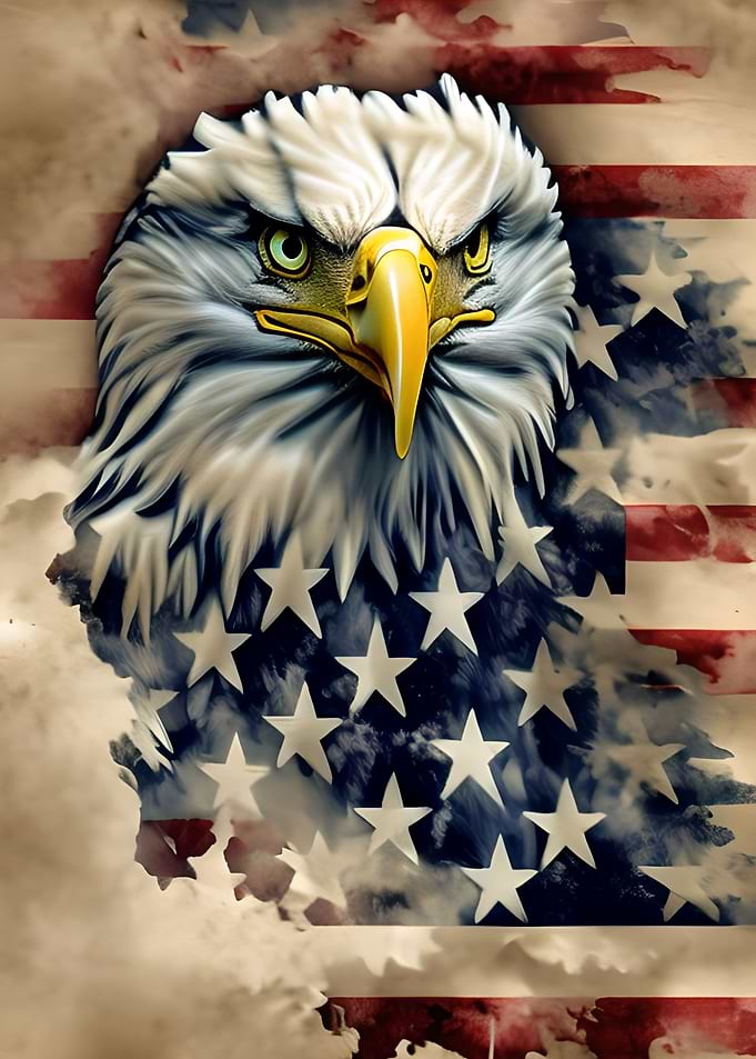 Eagle Burd USA Flag