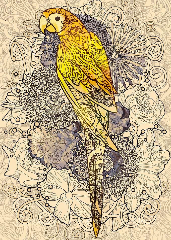 Parrot on floral