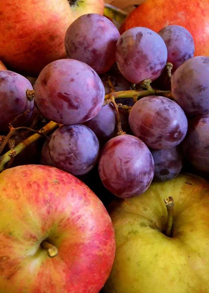 fruit