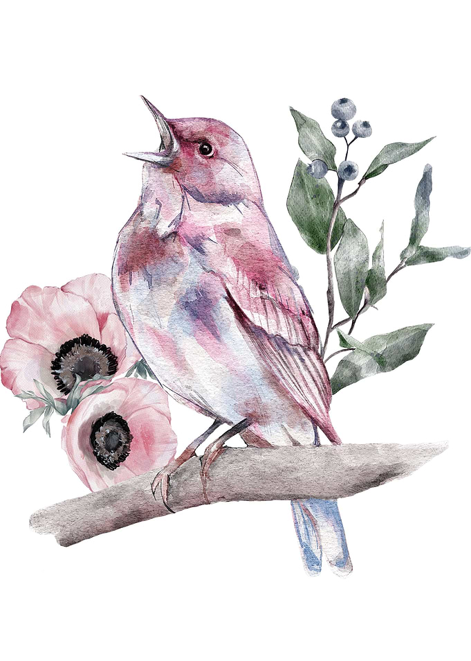 Springtime Avian and Flora