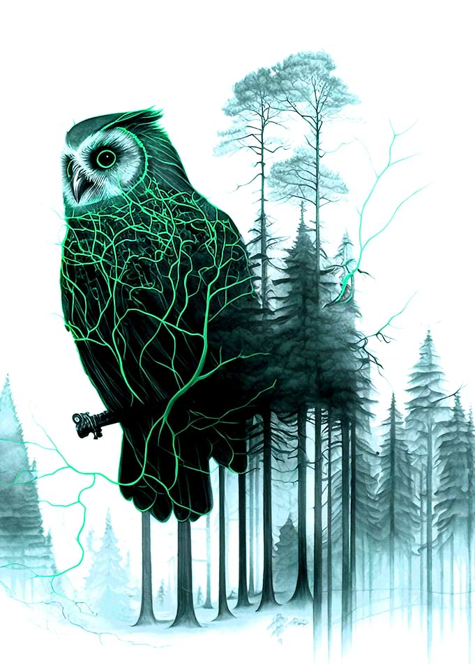Owl