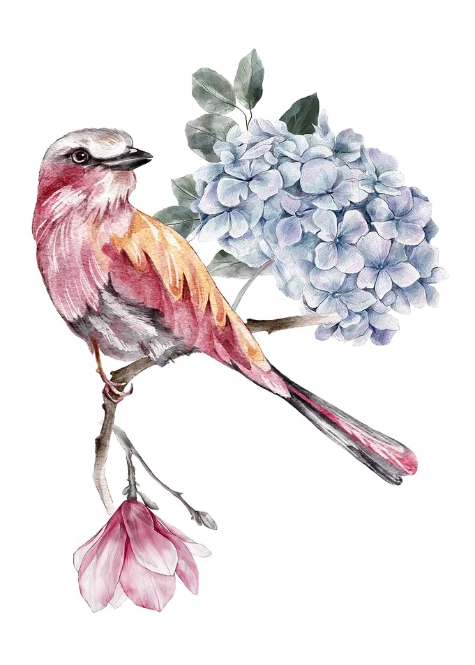 Watercolor Springtime Bird