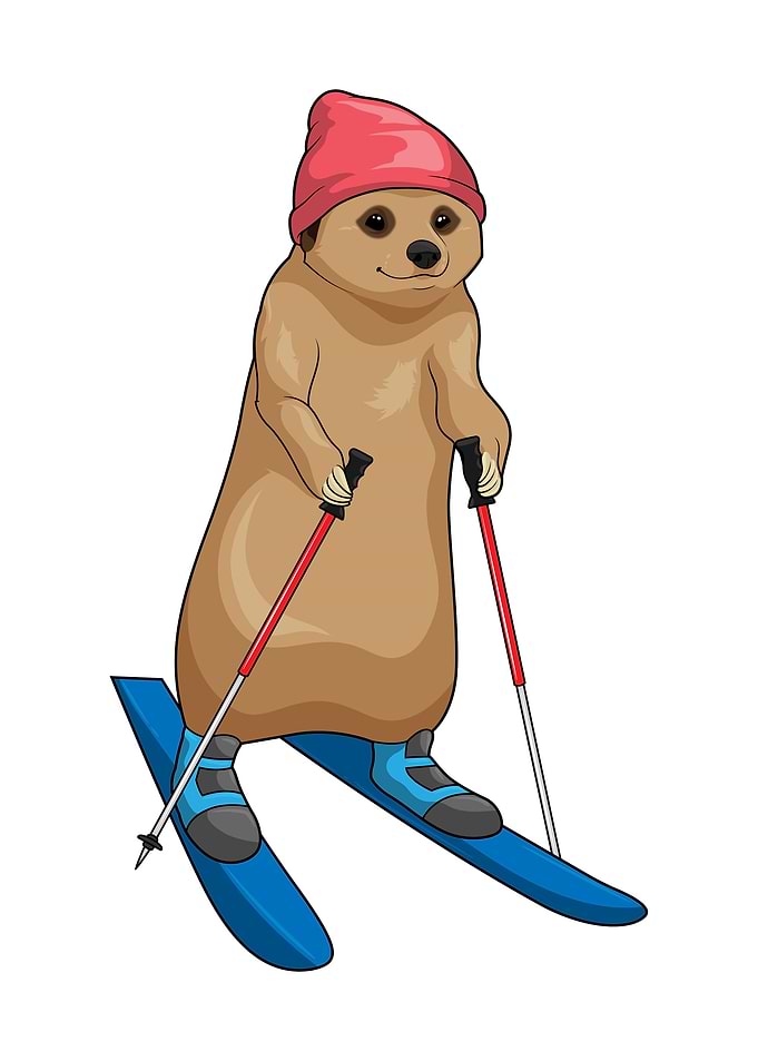 Meerkat Skier Ski