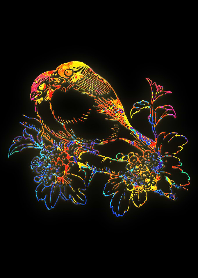 Couple of birds