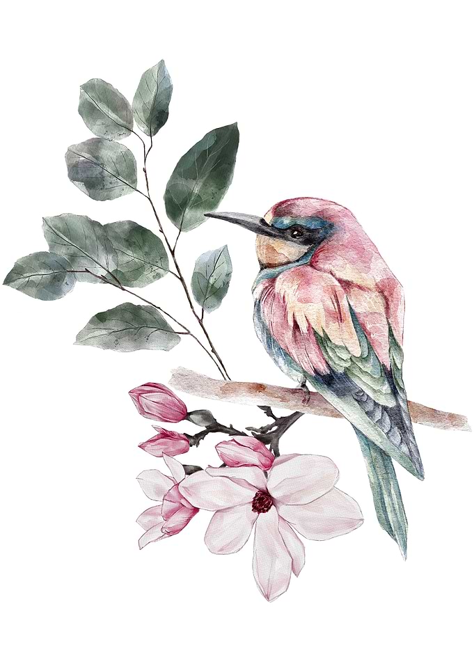 Spring Birds