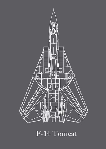 F14 Tomcat