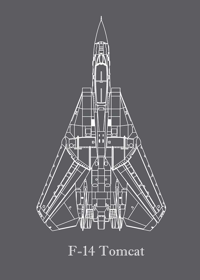 F14 Tomcat