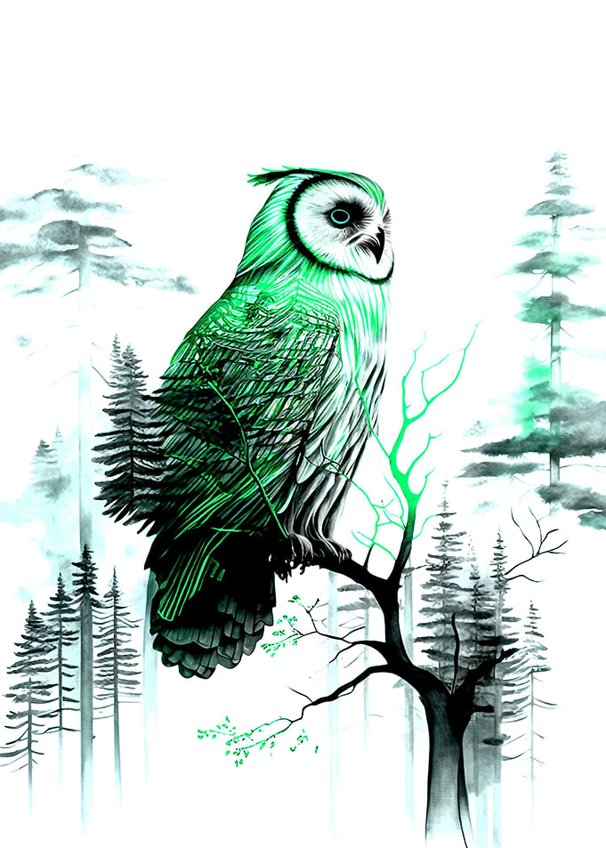 Owl