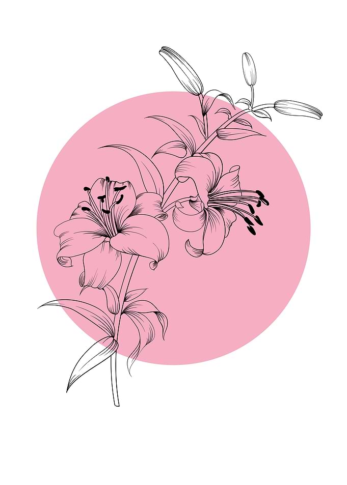 Lilies Line Art Flower