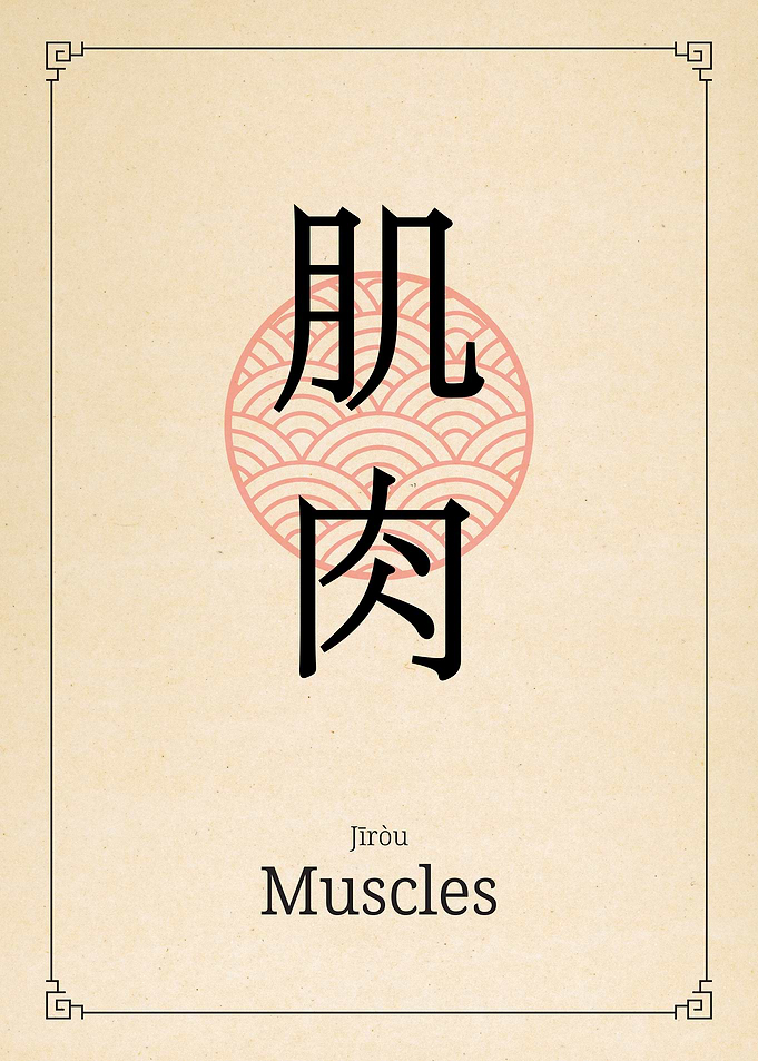 Muscles China Style
