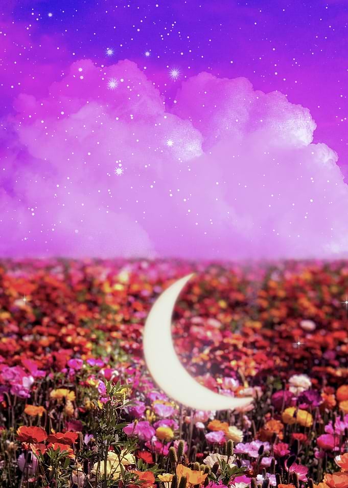 Moon Garden