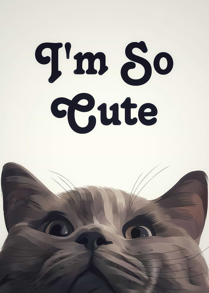 Cute cat