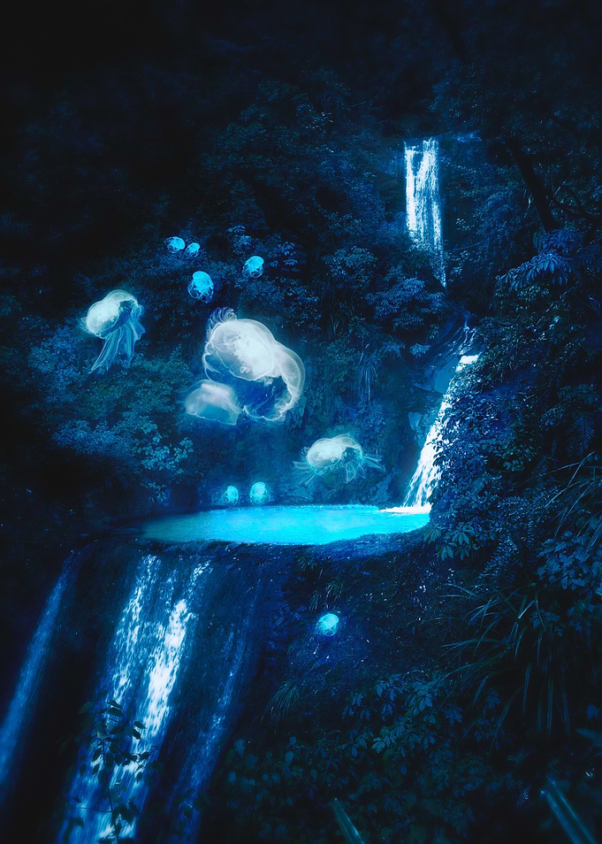 Jellyfish Waterfall