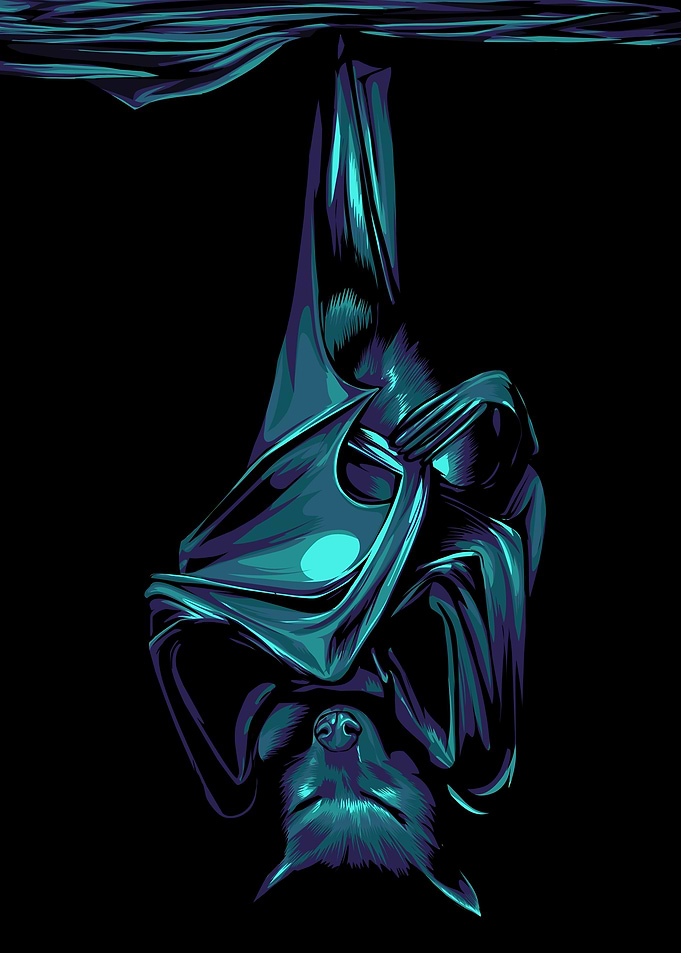 bat pop art
