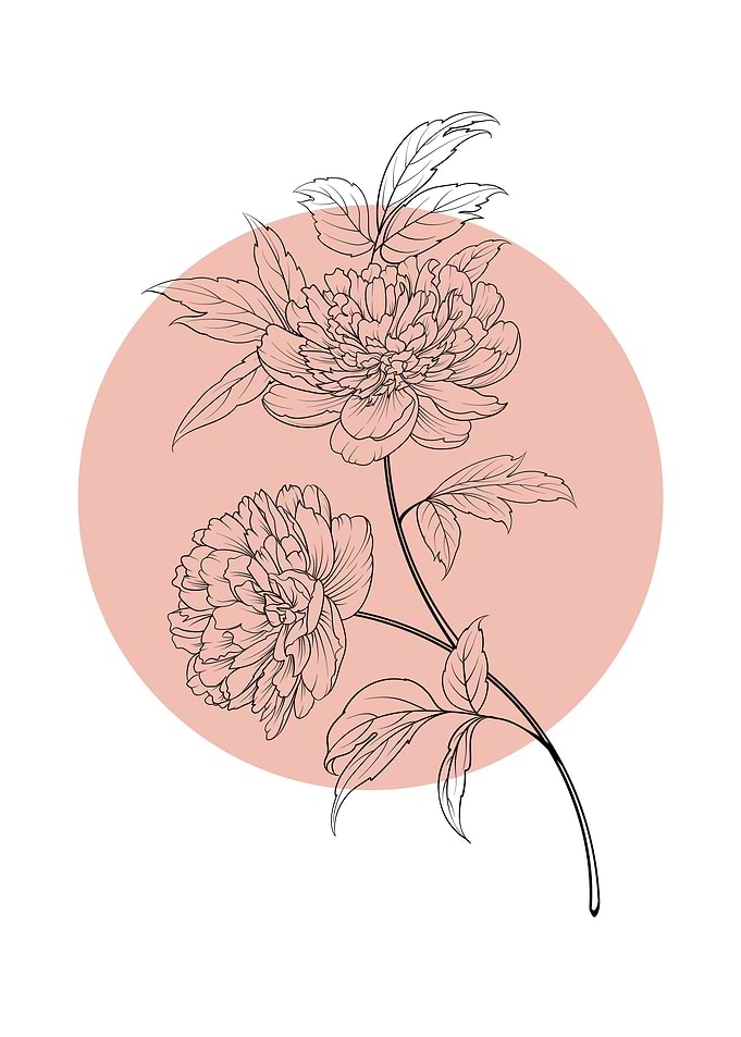 Peony Line Art Flower