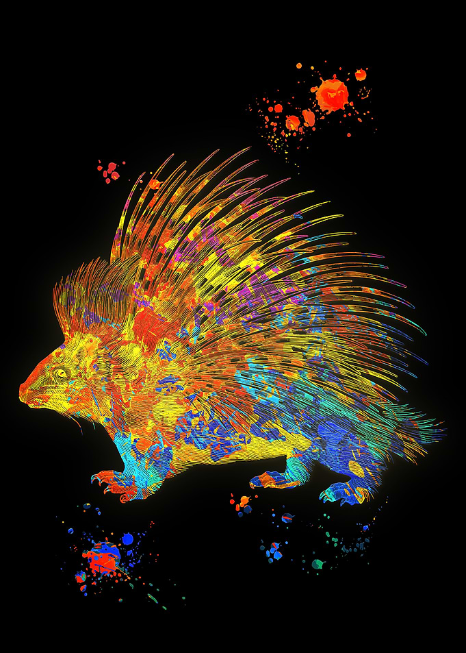 Hedgehog