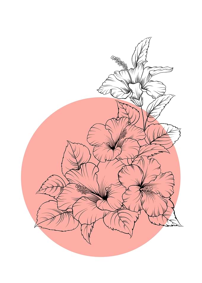 Hibiscus Line Art Flower