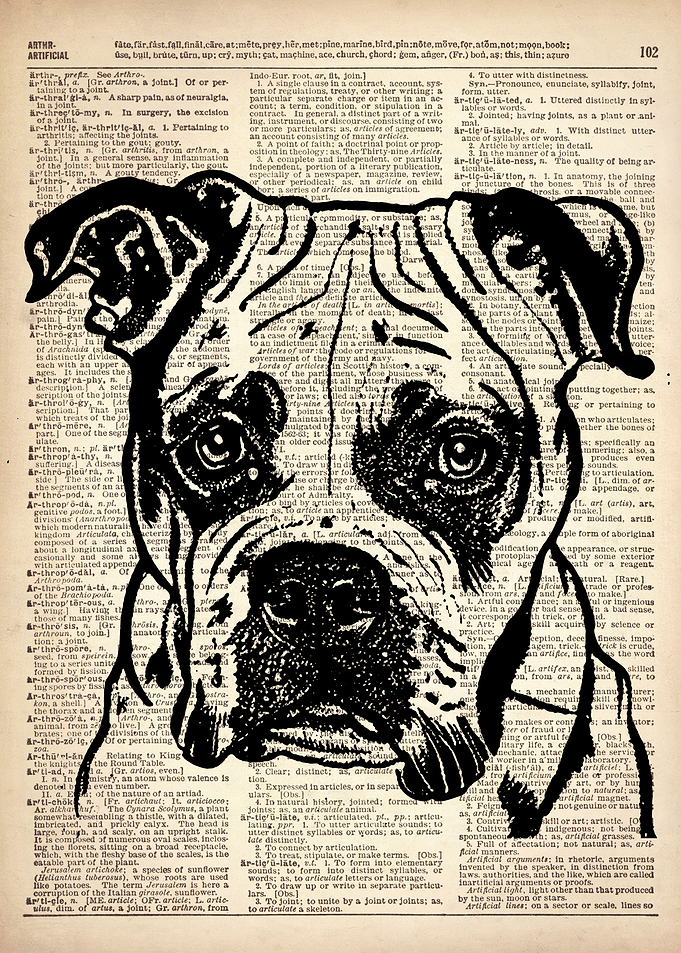 DOG ILLUSTRATION