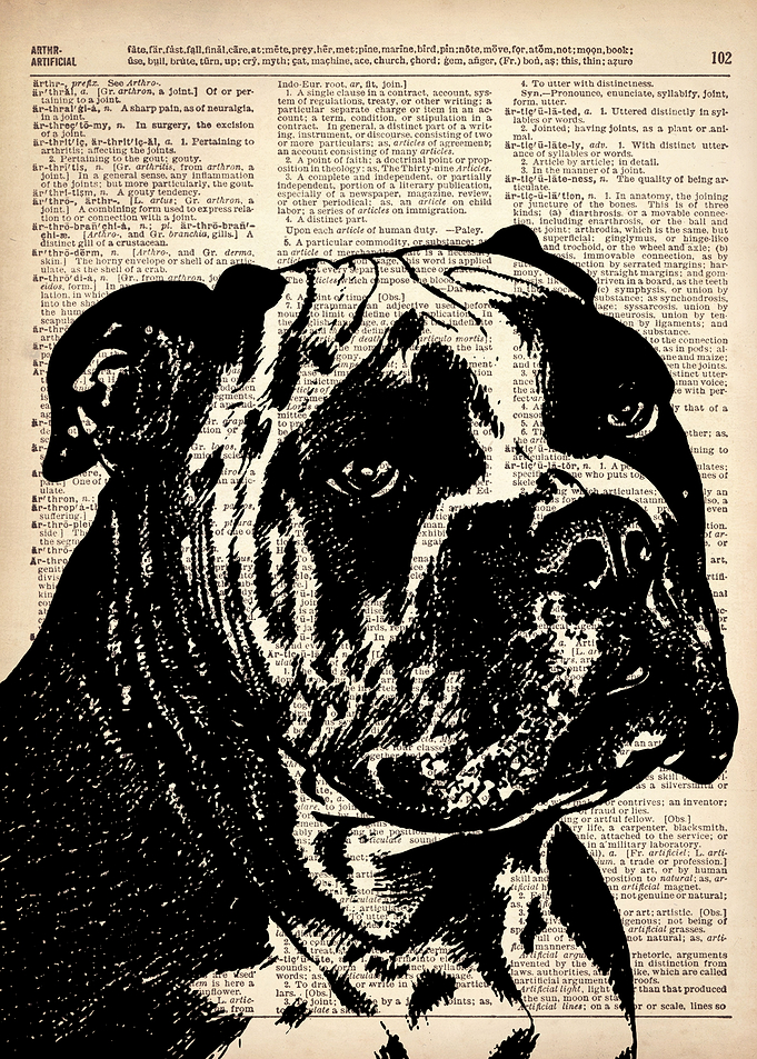 DOG ILLUSTRATION
