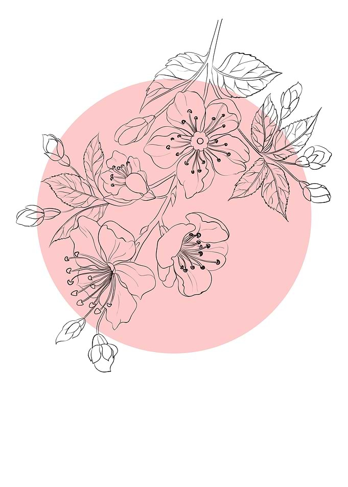 Sakura Line Art Flower
