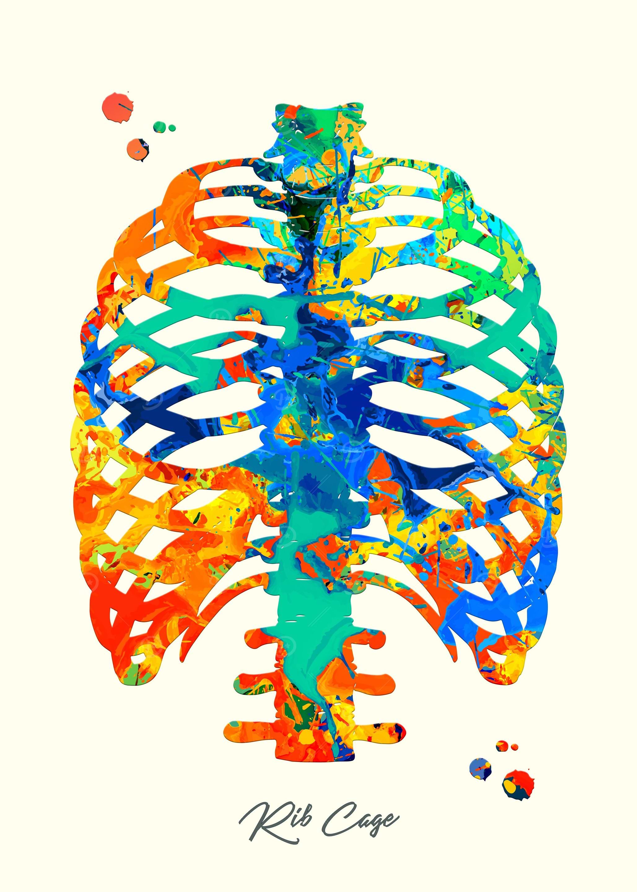 Rib Cage