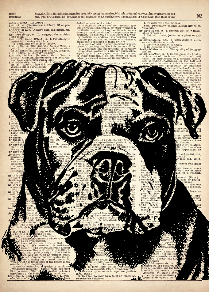 DOG ILLUSTRATION