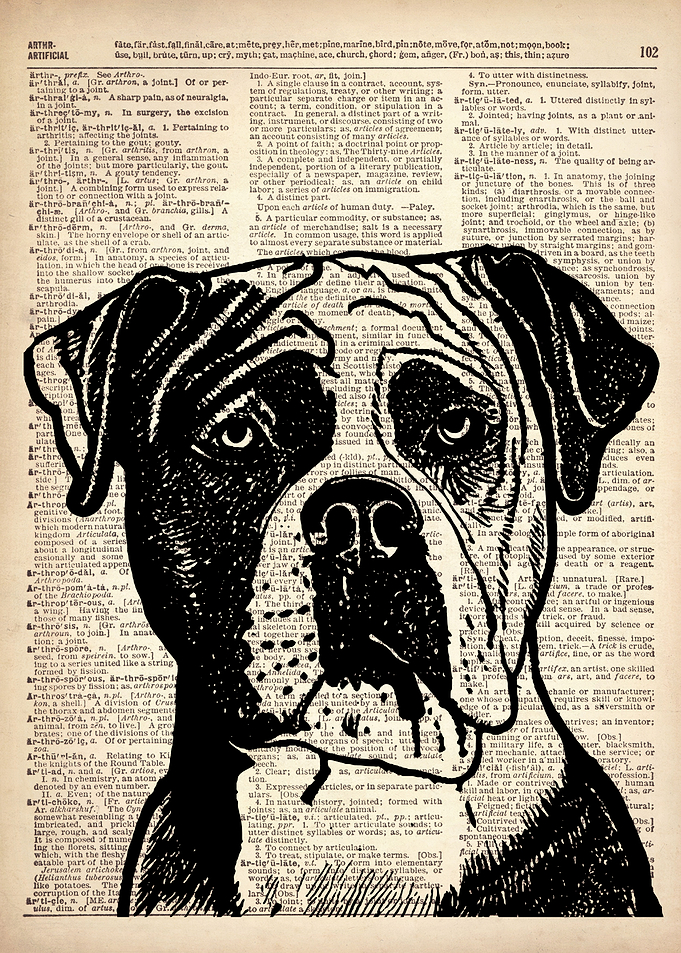 DOG ILLUSTRATION