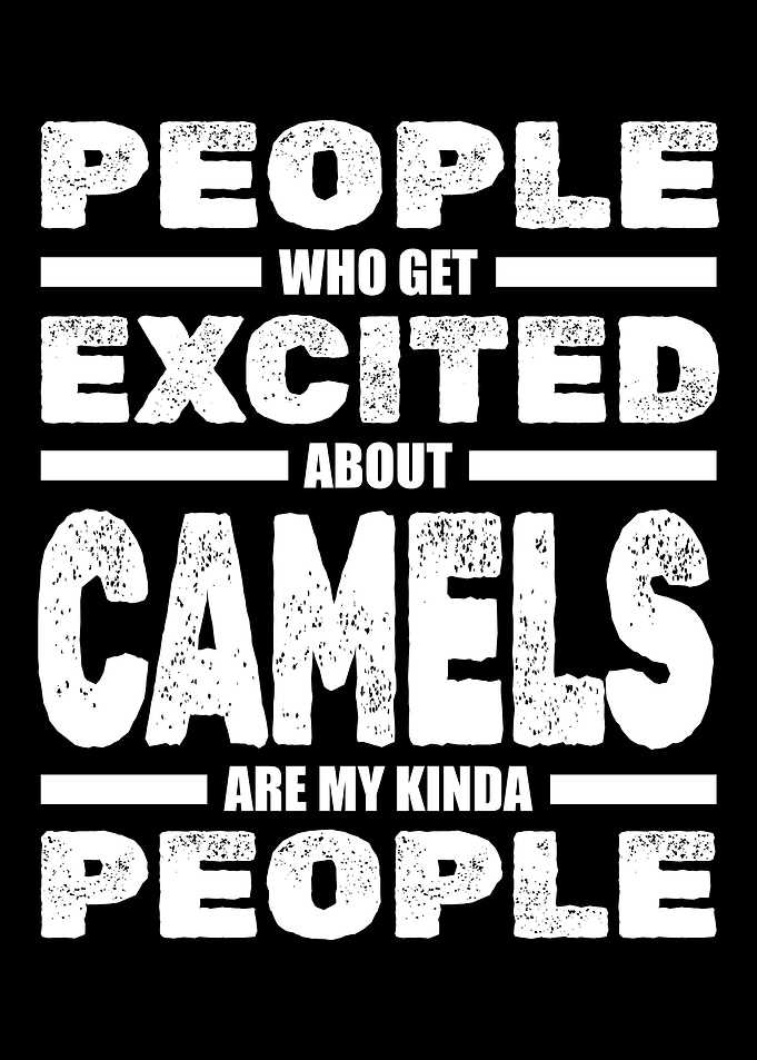 Camel Funny