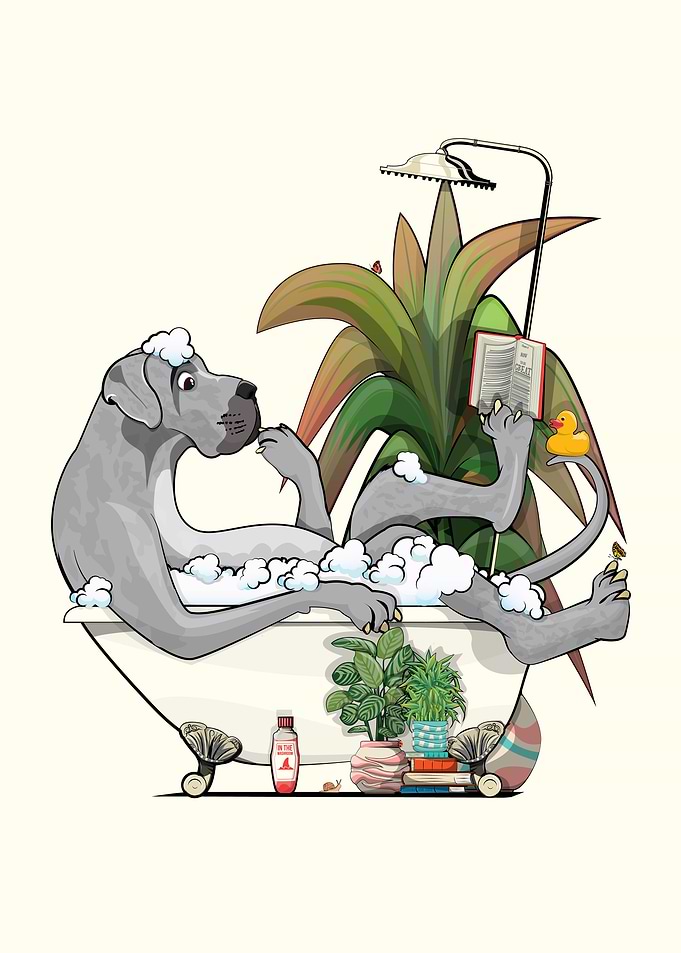 Great Dane in Bathtub