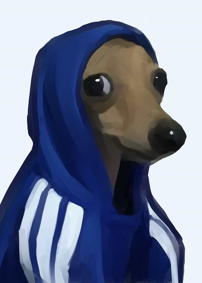 a dog with the hoodie