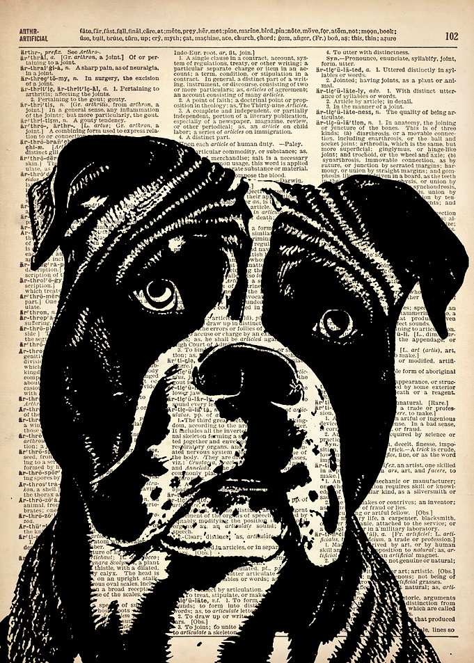 DOG ILLUSTRATION