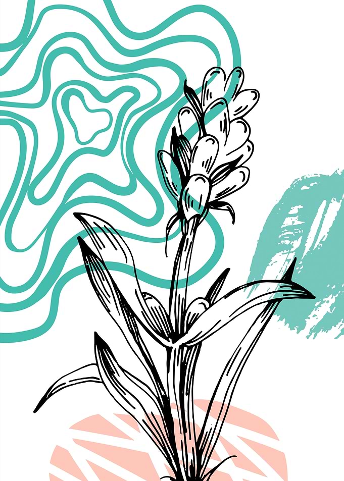 Abstract Floral