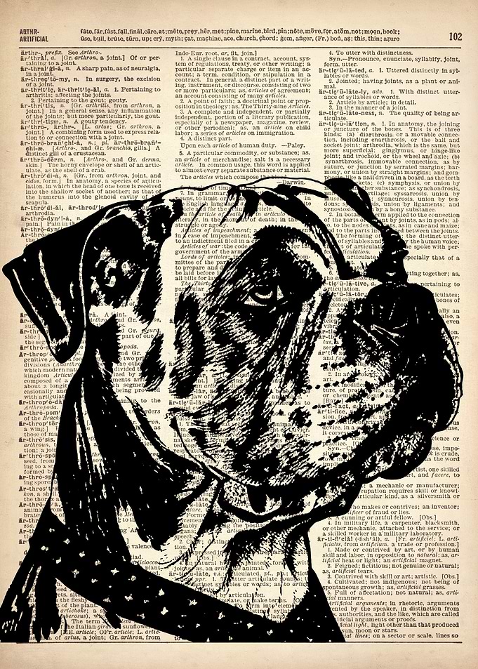 DOG ILLUSTRATION