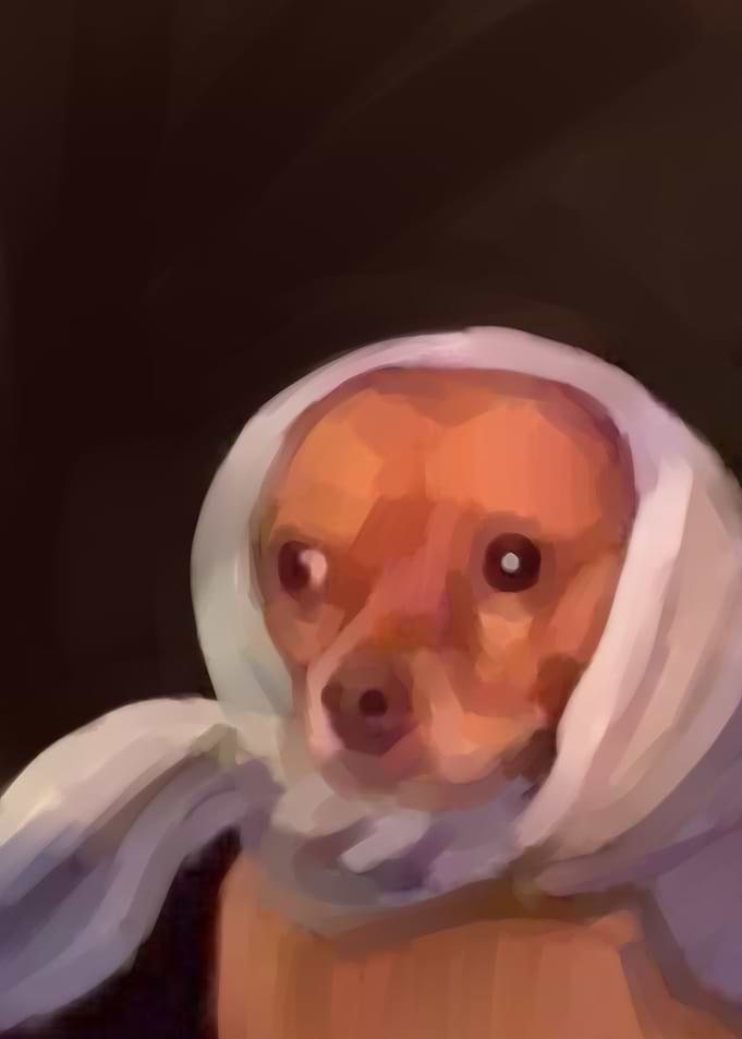 a dog scarf