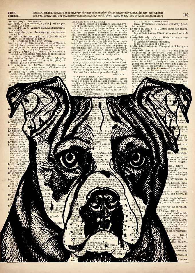 DOG ILLUSTRATION