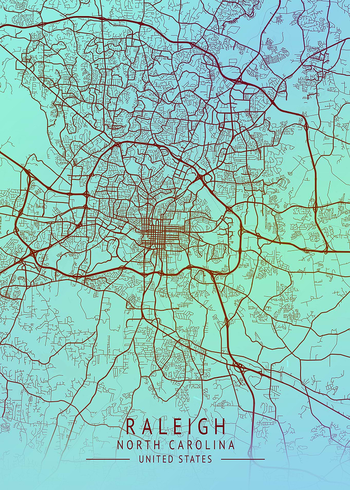 Raleigh USA City Map